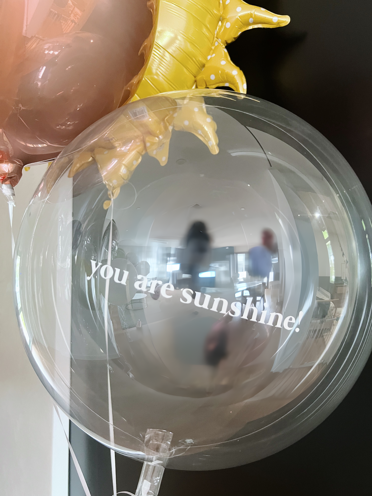 'you are sunshine' pundle